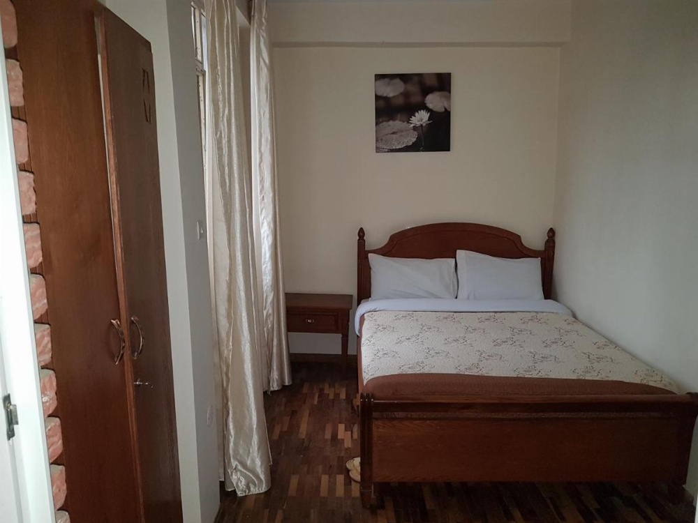 Ankober Guesthouse Bole